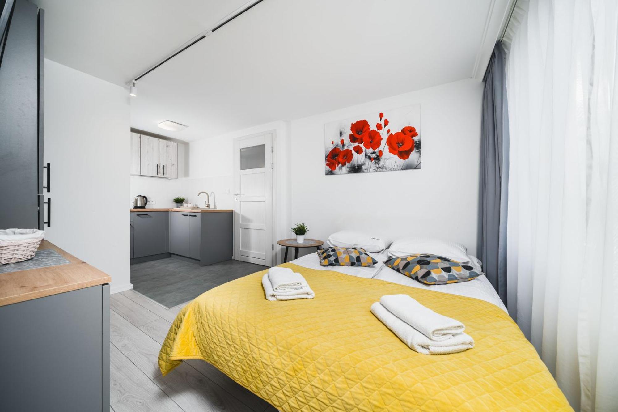 Ice Apartments كراكوفيا المظهر الخارجي الصورة